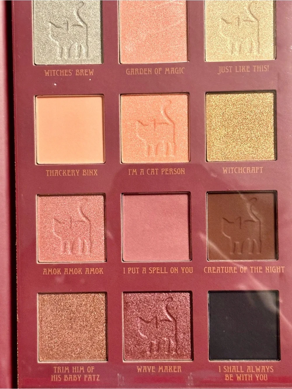 NWT•Disney Hocus Pocus 12 color Eyeshadow Palette
